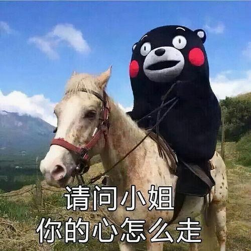 最炫民族风 表情包