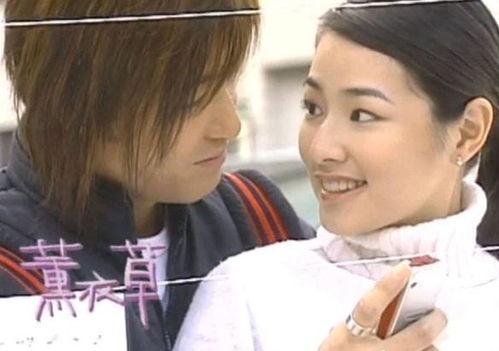 许绍洋薰衣草拍摄花絮,浪漫瞬间捕捉